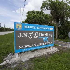 Entrance to Ding Darling Wildlife Preserve on Sanibel Island