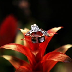 Ring on Flower Sanibel Island wedding