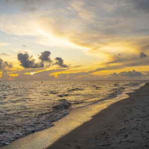 Sanibel Island Beach on Sanibel Island