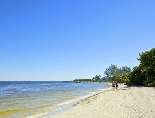 FREE Top Beaches Guide