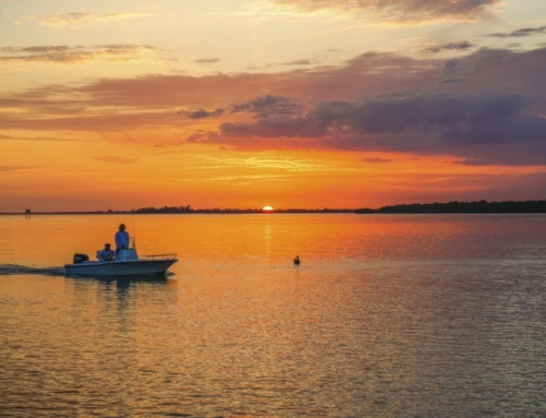 7 Local Favorites For A Sanibel Island Sunset (2026)