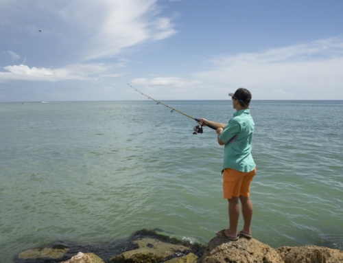 The 7 Best Sanibel & Captiva Island Fishing Spots, Charters & Marinas (2026)
