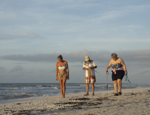 The Best Tools For Shelling on Sanibel Island (2025)