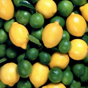 lemons & limes