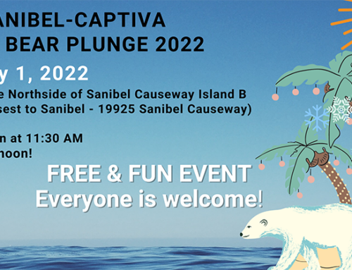Sanibel’s Polar Bear Plunge on New Year’s Day!