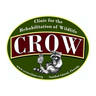 crow logo