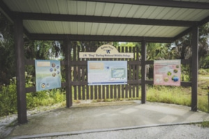 Bailey Tract Sanibel
