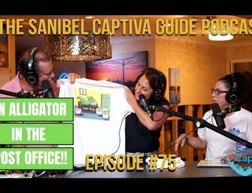 Was There an Alligator in the Sanibel Post Office?