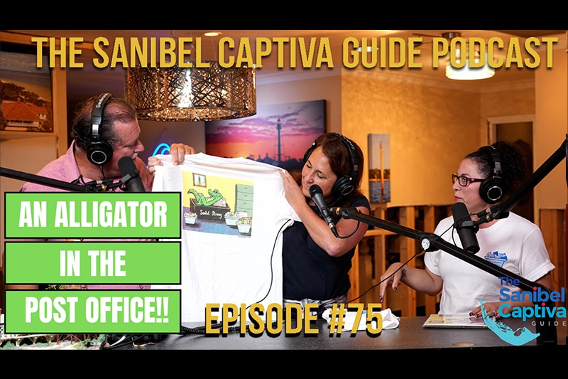 Tale of the alligator in the Sanibel post office