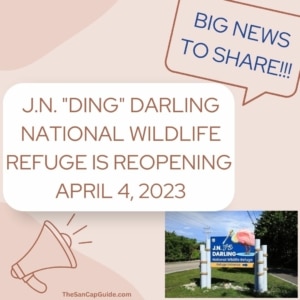 When will ding darling open