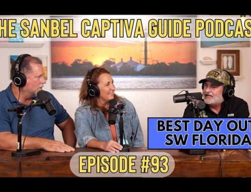Day Trip from Sanibel Island: Ultimate Florida Everglades Airboat Tour Guide